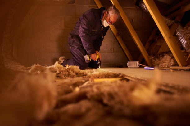 Best Eco-Friendly Insulation in Greenville, NY